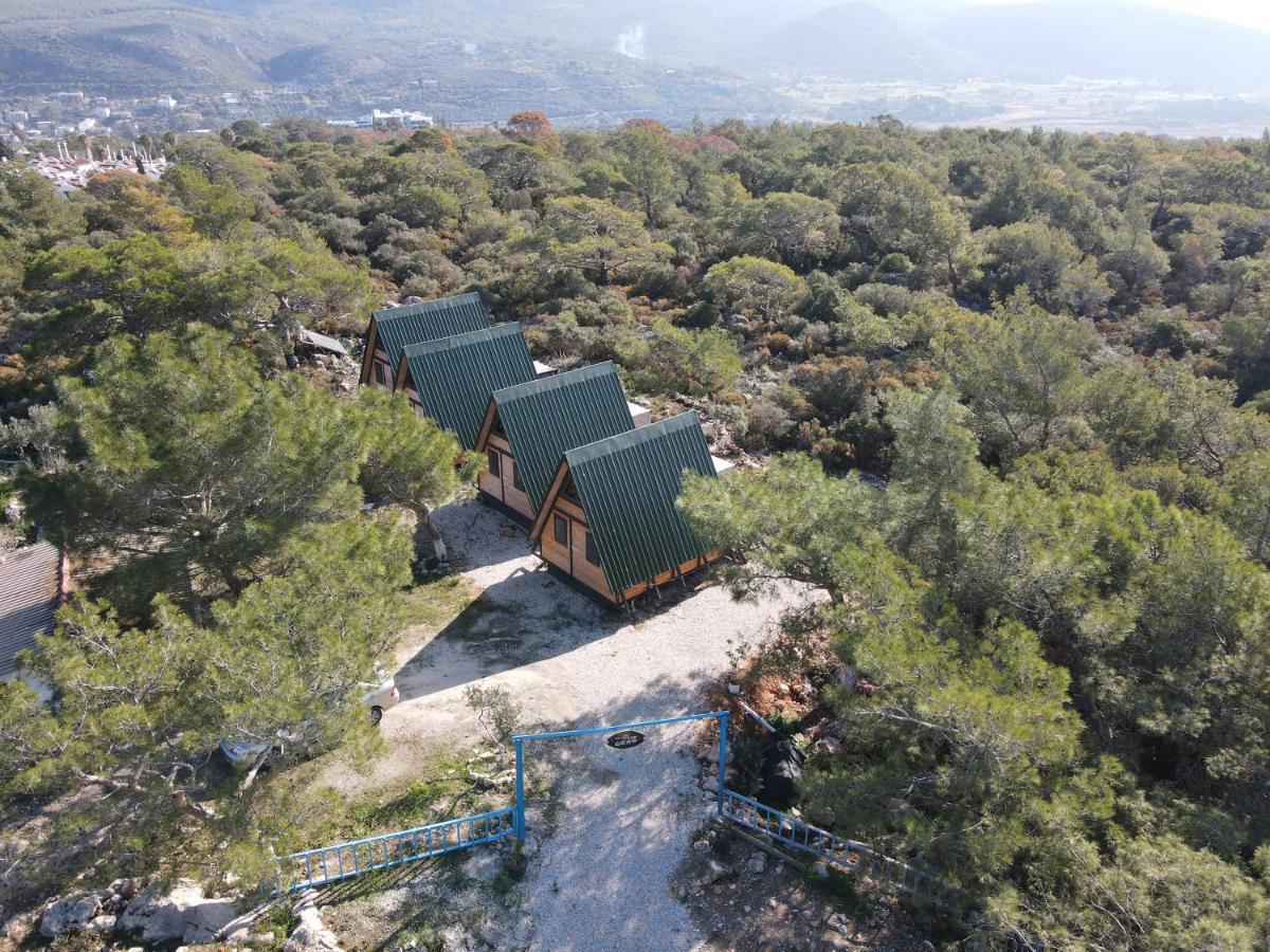 Patara Bungalov Houses 1 カシュ エクステリア 写真