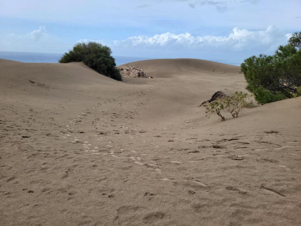 Patara Bungalov Houses 1 カシュ エクステリア 写真